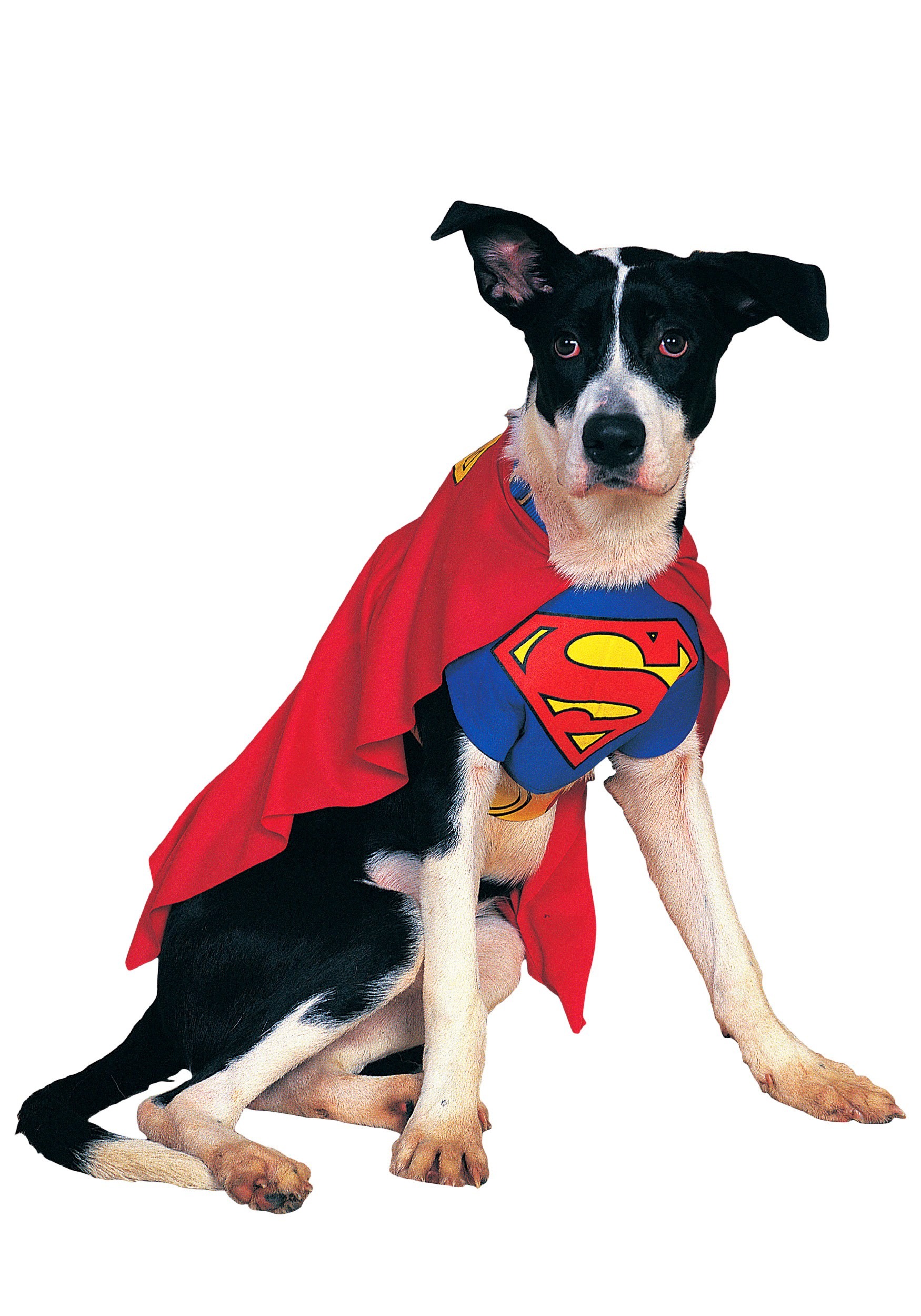 Superman Superdog Dogs Costume