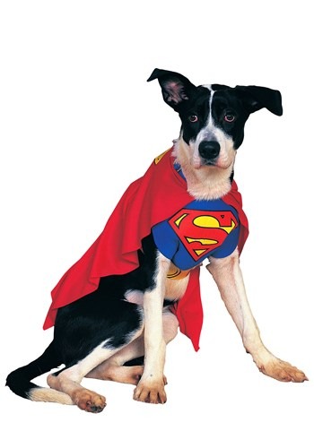 Dogs Superman Superdog Costume