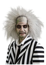 Mens Crazy Beetlejuice Wig