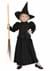 Wizard of Oz Toddler Wicked Witch Costume Alt 5