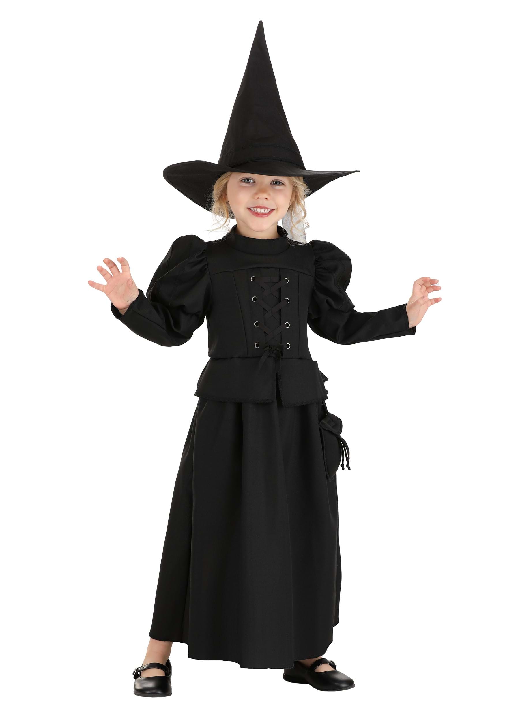 Photos - Fancy Dress Wizard Jerry Leigh Toddler  of Oz Wicked Witch Costume |  Of Oz Costu 