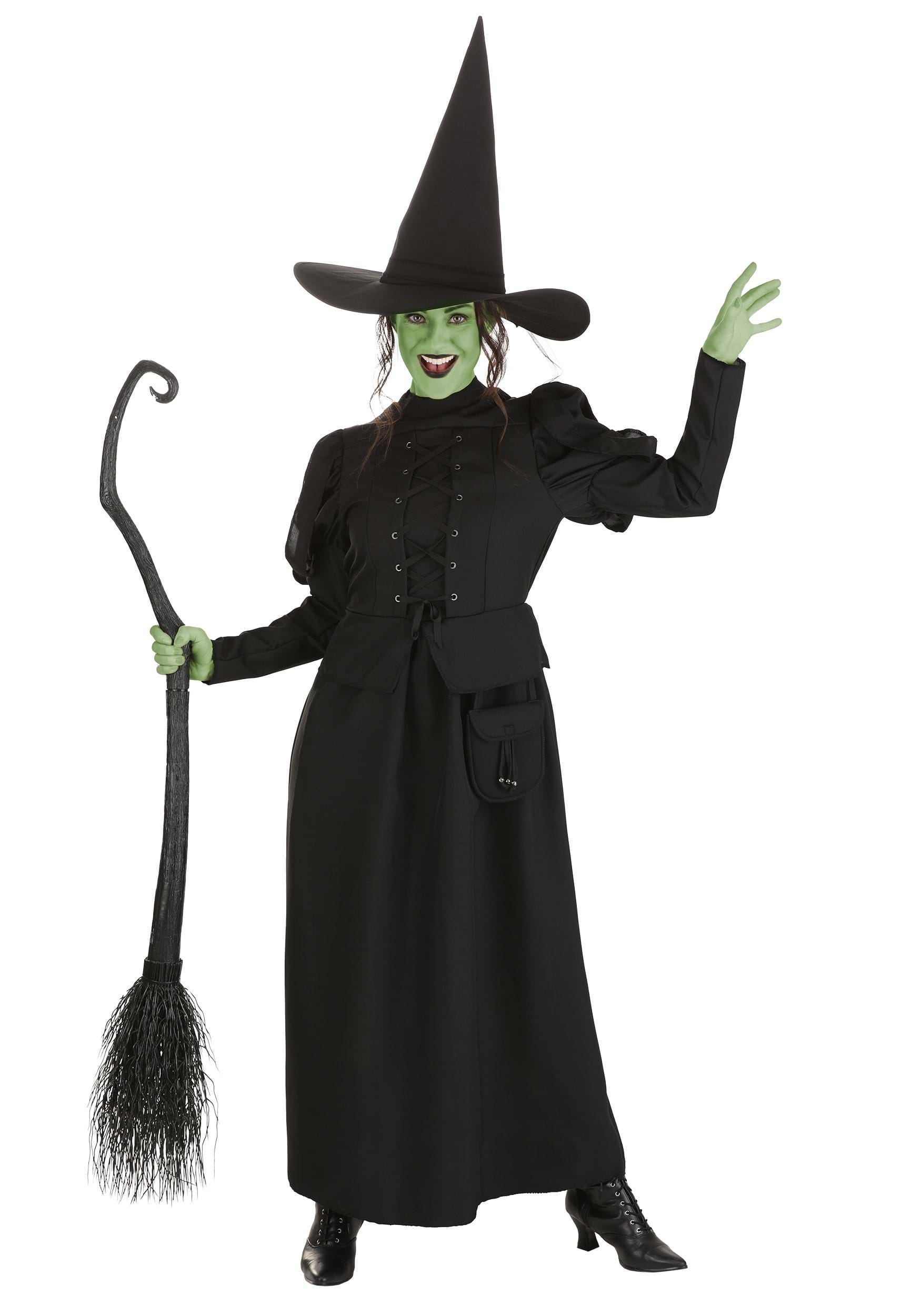 Wizard of Oz Adult Wicked Witch Costume | Movie Costumes