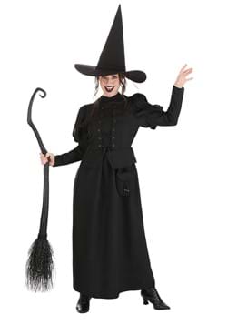 Adult Wizard of Oz Wicked Witch Costume