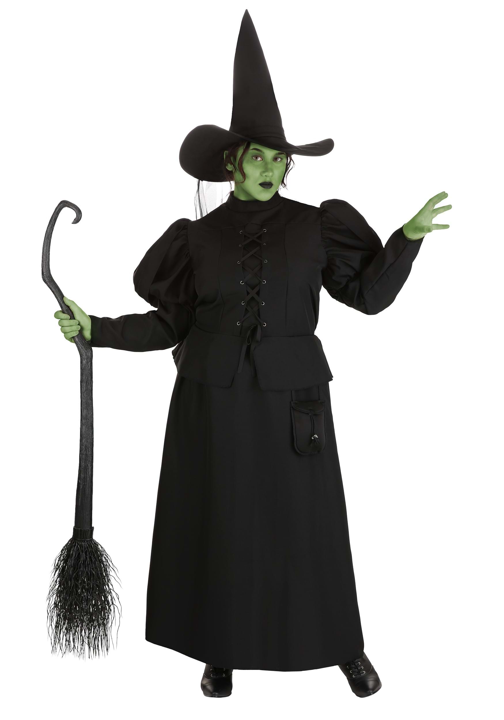 Wizard of Oz Plus Size Wicked Witch Costume