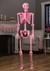 Crazy Bones Poseable Skeleton In Pink Halloween Prop