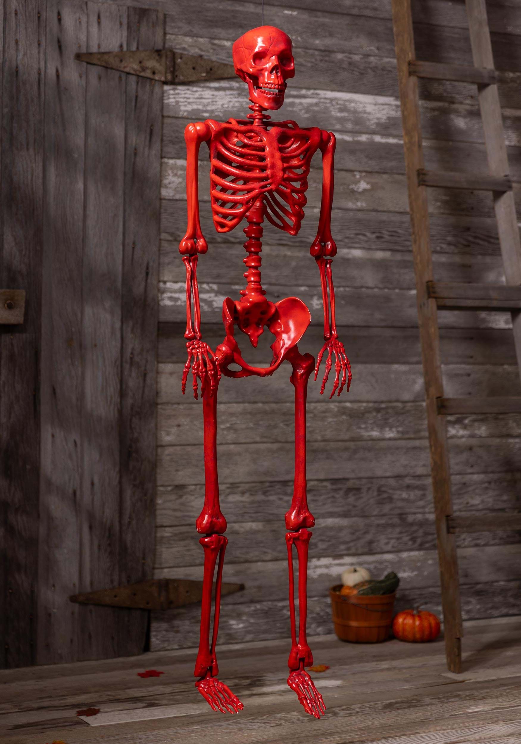 Human skeleton HD | Free 3D model | Professional 3D scanning solutions