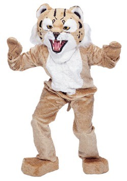 Wildcat Wild Mascot Costume