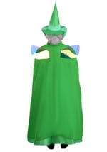 Plus Size Disney Fauna Sleeping Beauty Costume Alt 8