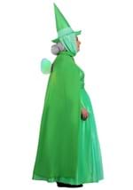 Plus Size Disney Fauna Sleeping Beauty Costume Alt 12