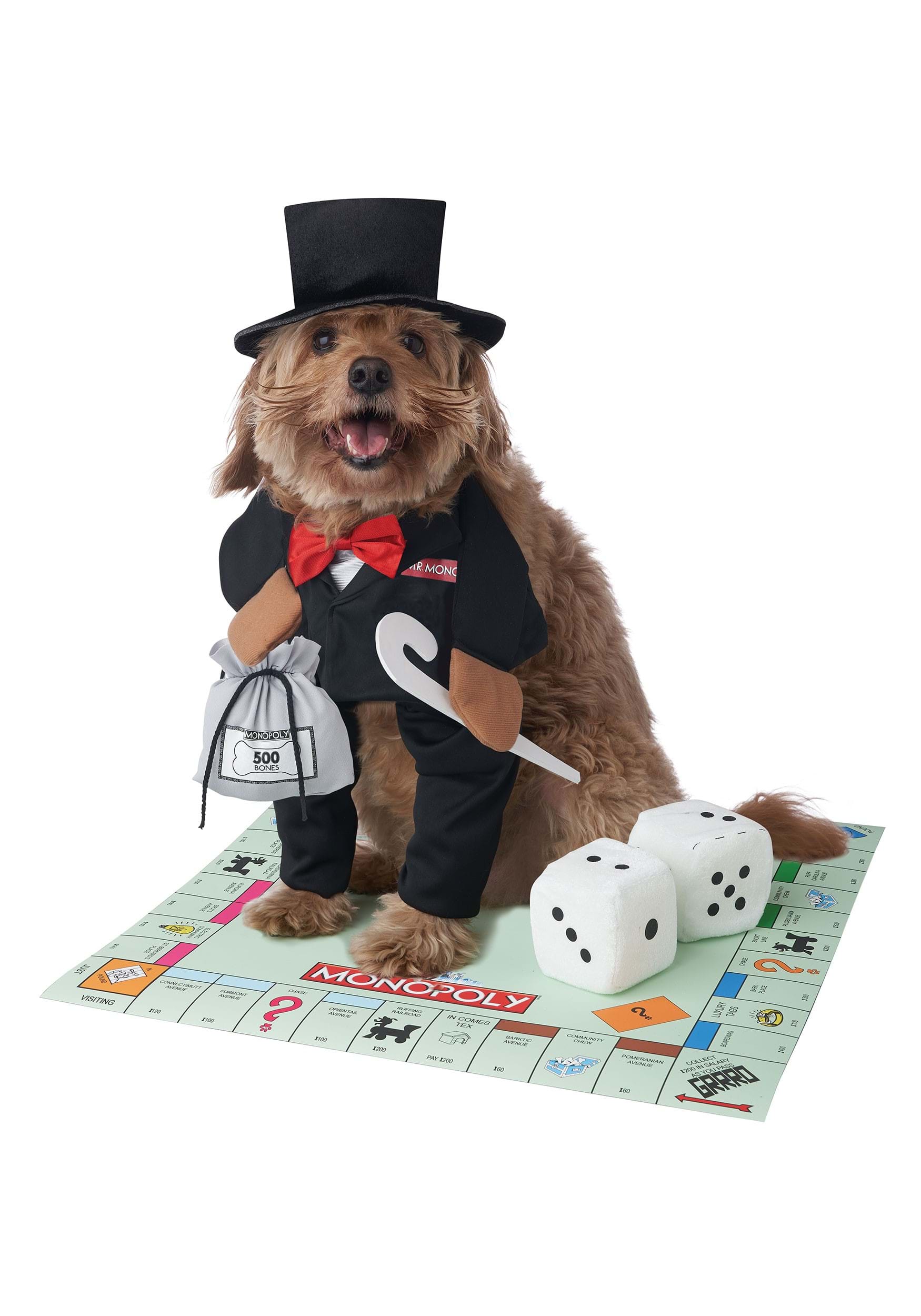 Pet's Mr. Monopoly Costume