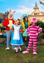 Women's Disney Mad Hatter Costume Alt 11