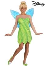 Adult Authentic Disney Tinkerbell Costume
