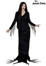 Adult 1960s Morticia Addams Costume