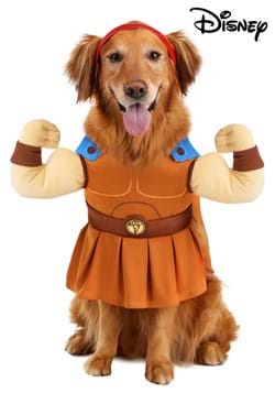 Disney Hercules Dog Costume