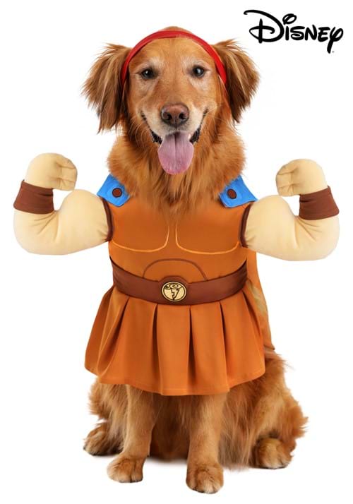 Disney Hercules Dog Costume