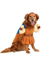 Disney Hercules Dog Costume Alt 2