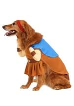 Disney Hercules Dog Costume Alt 3