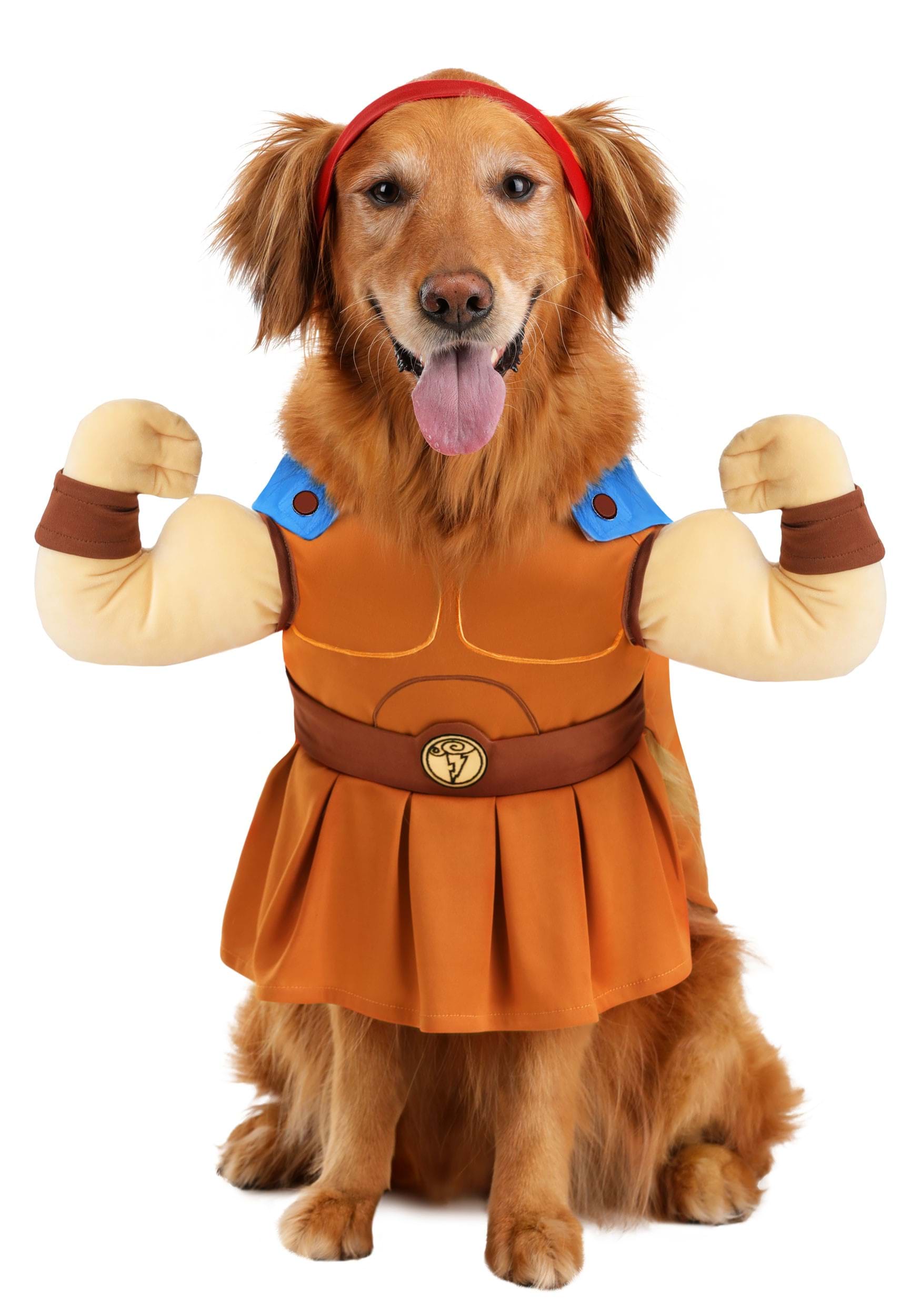 Disney Pet Hercules Costume | Disney Pet Costumes