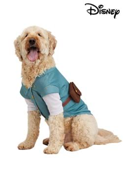 Disney Tangled Flynn Rider Dog Costume