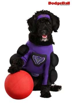 Globo Gym Dodgeball Dog Costume