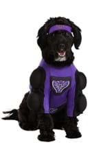 Globo Gym Dodgeball Dog Costume Alt 1