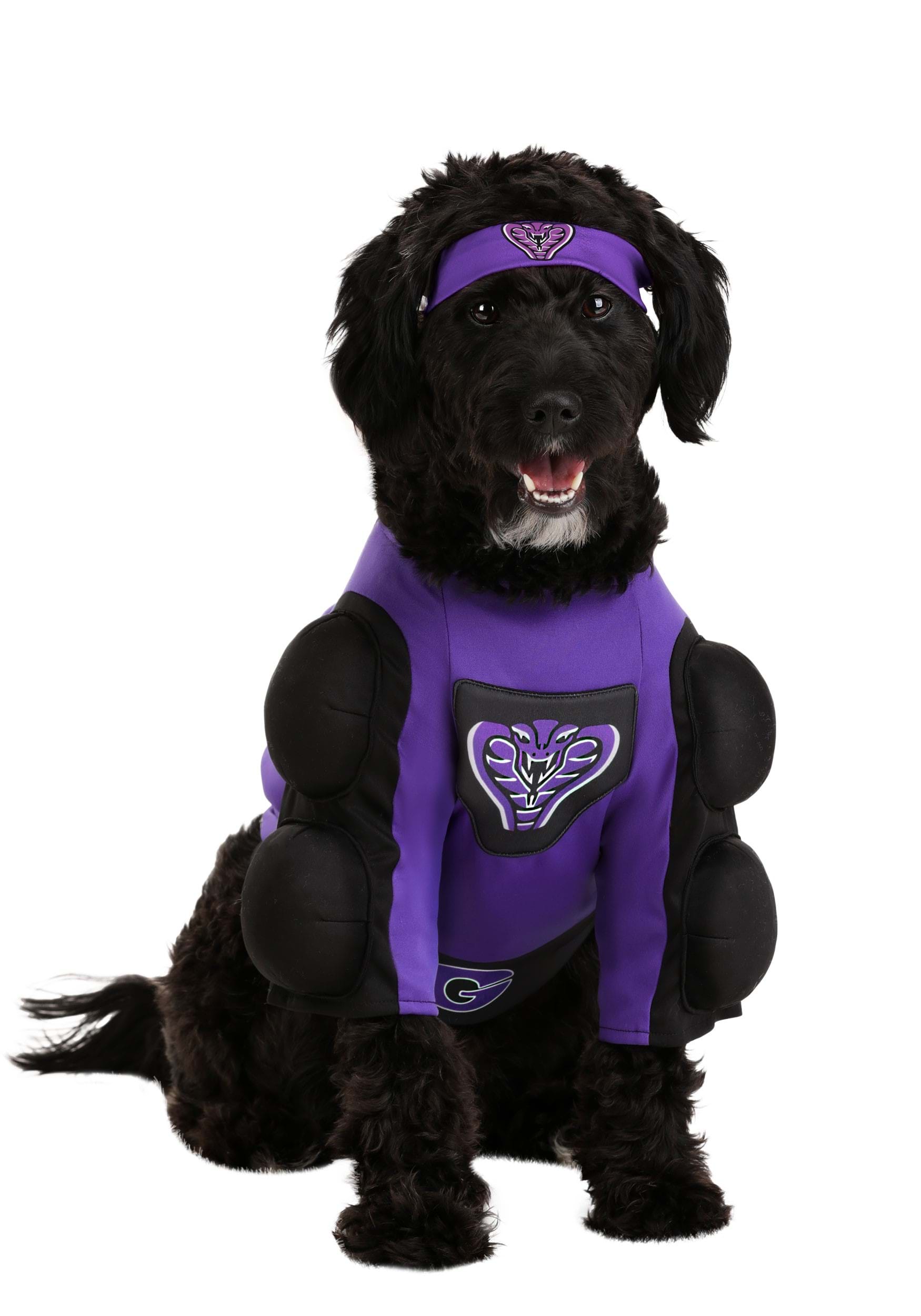 Dodgeball Pet Globo Gym Costume | Movie Costumes