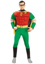 Adult Teen Titans Robin Costume